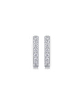 925 Sterling Silver Moissanite Earrings - E13083